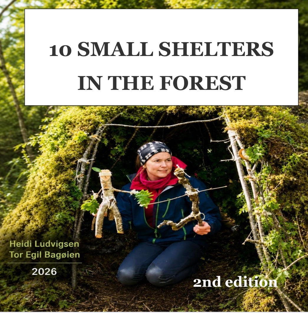 Forest Shelters kids can build.E-ebook in English